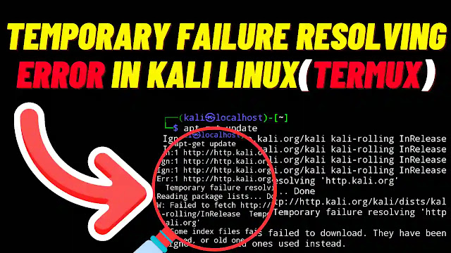 Temporary Failure Resolving Error in Kali Nethunter