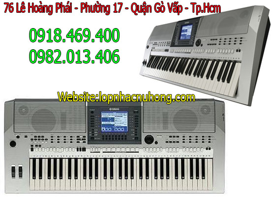 dan organ psr s700