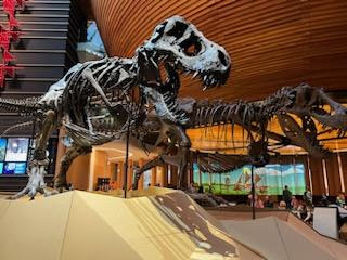 Dinosaur Exhibit at Auckland Museum