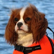untitled-2011-07-18-11-07.png