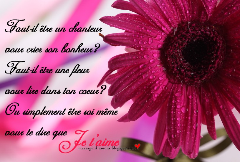 amour citation simple