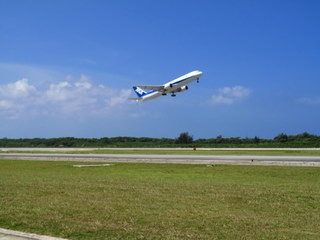 IMG_3516