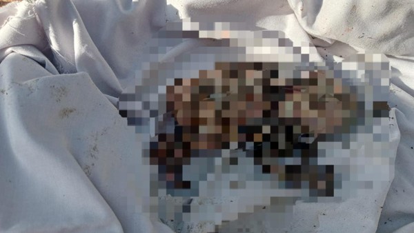 Bayi terpisah jasad dengan Kepala 