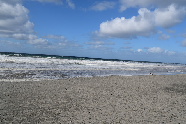 Pacific Coast Highway (2)