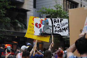 Sydney Climate Rally - Koala sign, 'RIP 1-2 Billion Animals'