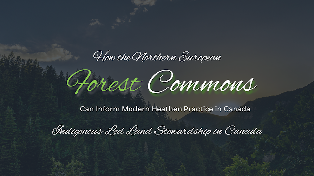 Hearthside Blog, How the Northern European Forest Commons Can Inform Modern Heathen Practice in Canada