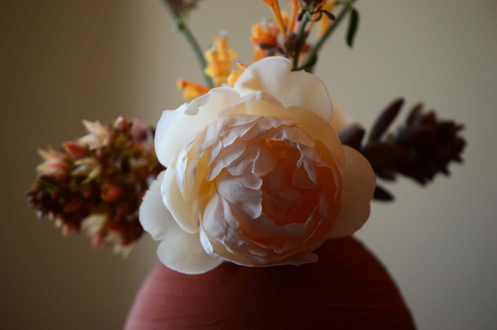 A Small Sunny Garden Monday Vase Peaches And Cream