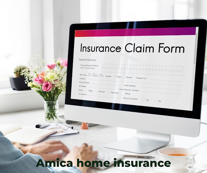 Amica home insurance