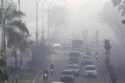 Wisata Mandi Sauna Alami di Riau