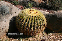 Ganei Yehoshua (Parque del Yarkón)