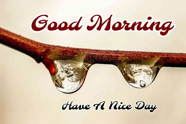 Good Morning Rainy Image Photo Download