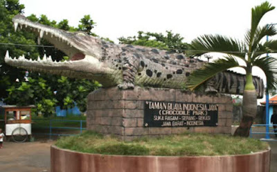 Taman Buaya Indonesia Jaya