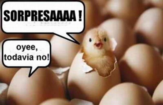 CHISTES DE POLLITOS CHISTES DE HUEVOS