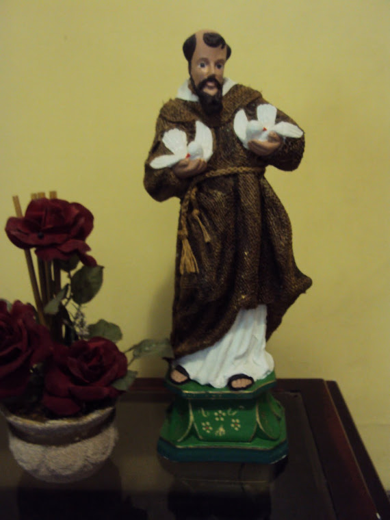 São Francisco de Assis/Juta