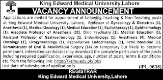 Job Advertisement | King Edward Medical University 2022 Advertisement