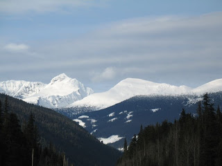 the rockies