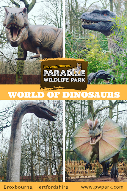 Paradise Wildlife Park World Of Dinosaurs