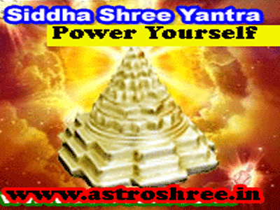siddha shree yantra for success by astrologer