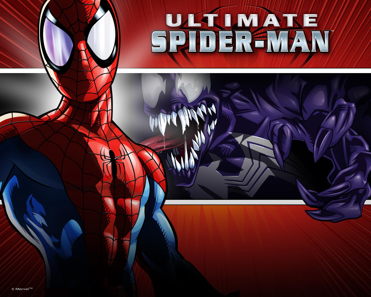 Amazing Spiderman  Cute  Cartoon Wallpaper 