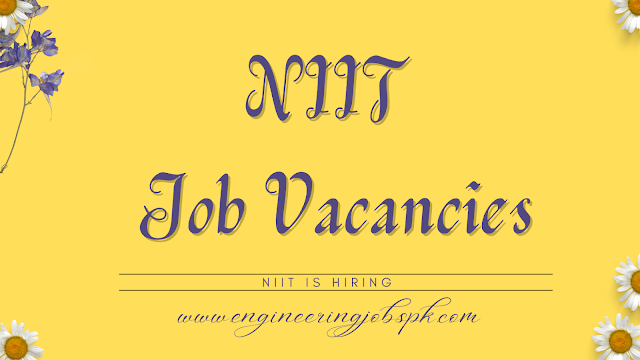 NIIT Multiple Job Vacancies