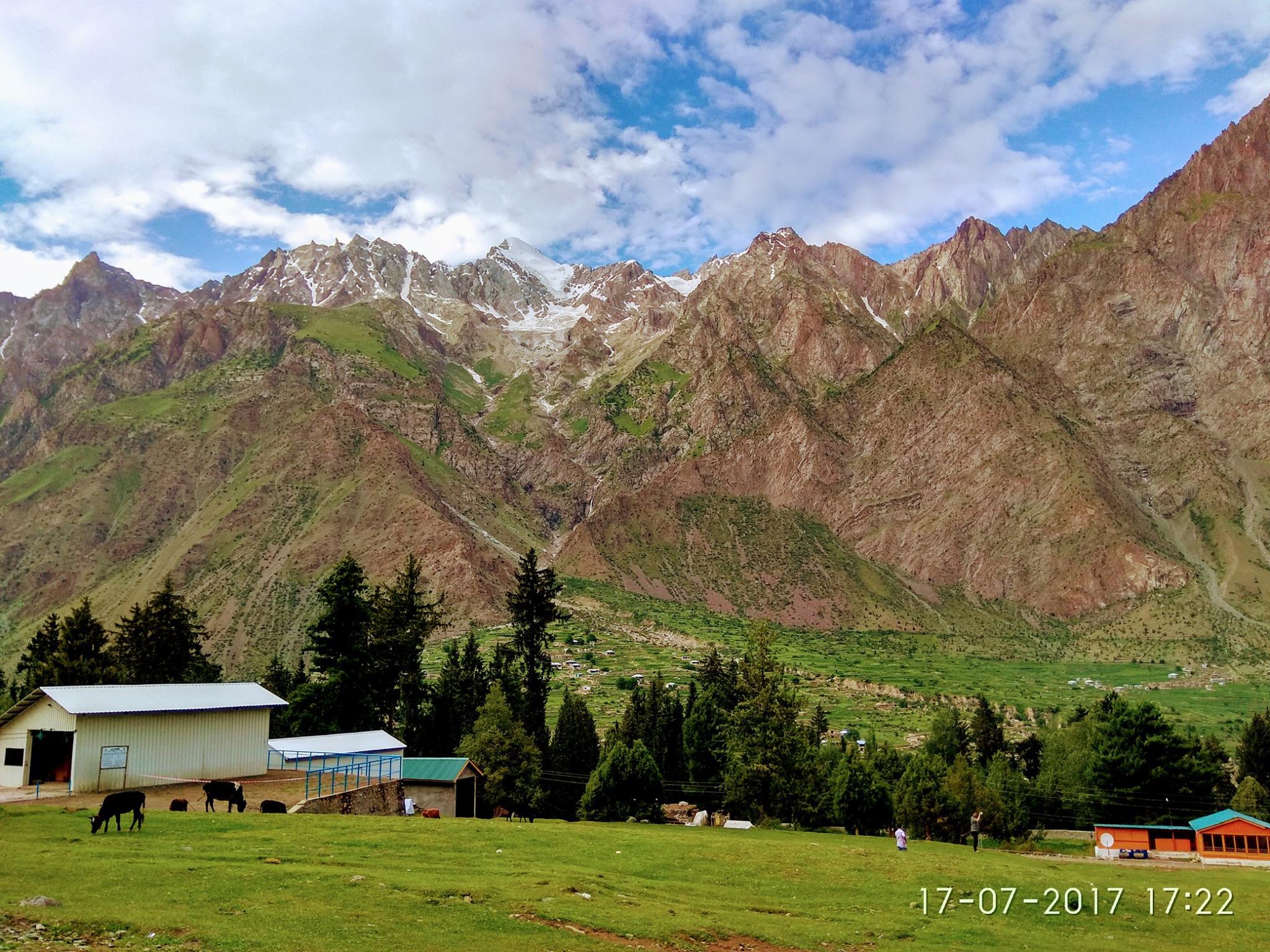 Naltar valley. tourist place in Naltar valley. Lush green Naltar valley