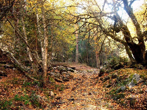 5 puertos de la Sierra de Guadarrama, sábado 11 de octubre 2014 ¿Nos acompañas?