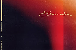 Shawn Mendes & Camila Cabello – Señorita – Single [iTunes Plus M4A]