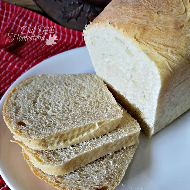 Making your own bread machine mixes is quick and easy, and it's frugal too!