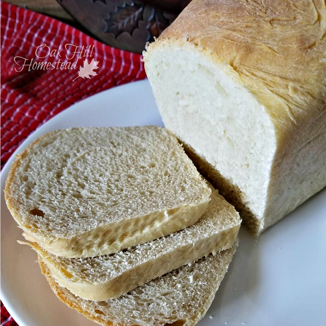 Sliced homemade bread on a white plate on top of a red-and-white tablecloth.