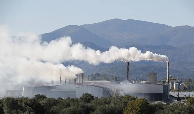 Βελτιωμένη η κατάσταση με τα πυρηνελαιουργεία λέει ο Νίκας