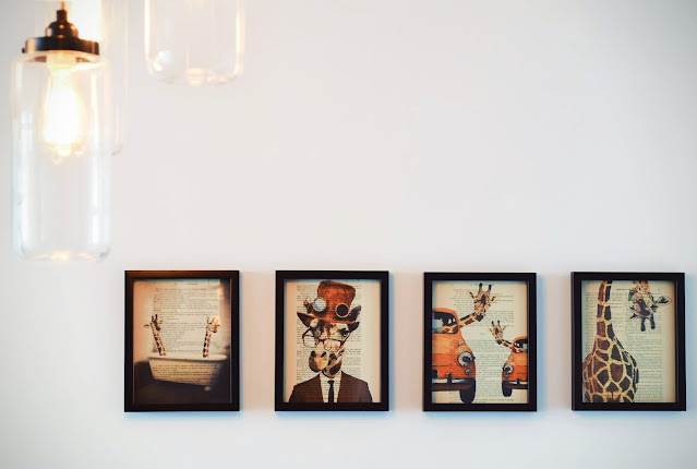 three framed pictures of giraffes hanging on a wall