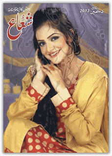 Shuaa Digest December 2013 pdf