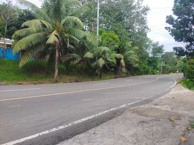 Residential/Farm Lot for Installment in Tabogon Cebu