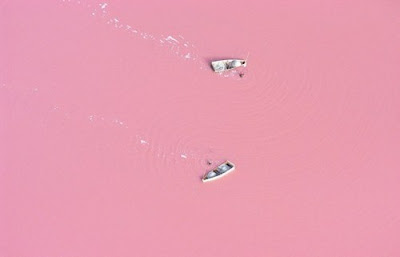 danau pink, danau retba, lake retba, lac rose