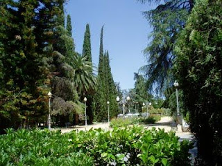 árboles de jardín