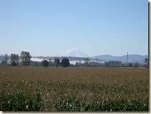 Ranier in Sept