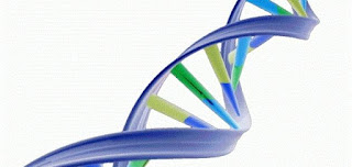 كيف تحدث عملية تضاعف DNA 
