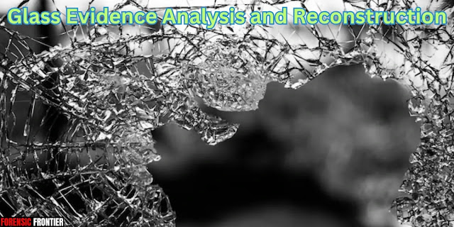 Cracking the Code: Analyzing Glass Evidence in Forensics