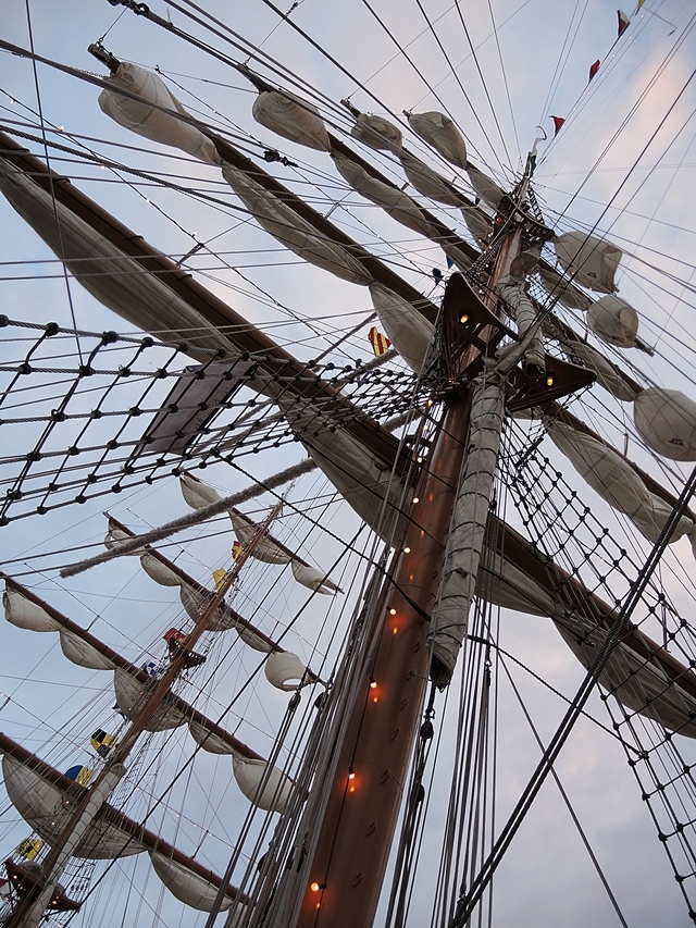 Antwerpen - grote schepen in de Schelde - de Tall Ships Race editie 2016