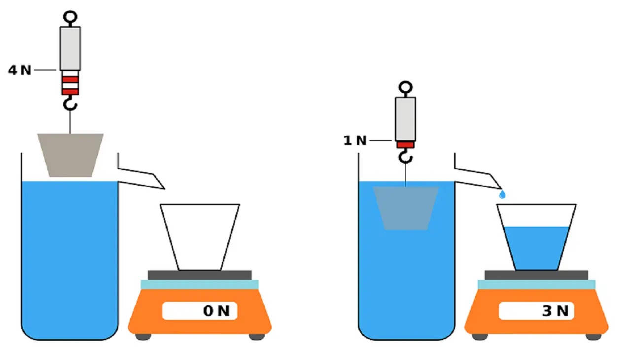 Why do I feel lighter in water, Does being in the pool make you lighter, why we feel lighter in water, why does an object weigh less in water than in air, an object is dropped into a beaker containing a liquid, how does an object affect the surrounding water level, bubbles rise in water because they are, an object is dropped into a beaker containing a liquid. the object drops to the bottom of the beaker, light in the water, light water, light and water, light in water, light on water, light water reactors, light water formula, light on the water, why do you feel so light in water, why do we feel light in water, can water absorb light, when light hits water what happens, why do you feel so light in water, why do we feel light in water, what does the water light mean, when light hits water what happens,  why do you feel so light in water, why do we feel light in water, what does the water light mean, when light hits water what happens,  why is my water light yellow, why do you feel so light in water, why do we feel light in water, can light go through water,  why do you feel so light in water, why do we feel light in water, what does the water light mean, why does water absorb light when light hits water what happens, why do you feel so light in water, why do we feel light in water,