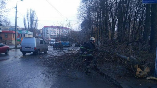 У Вінниці через падіння дерева загинула дитина