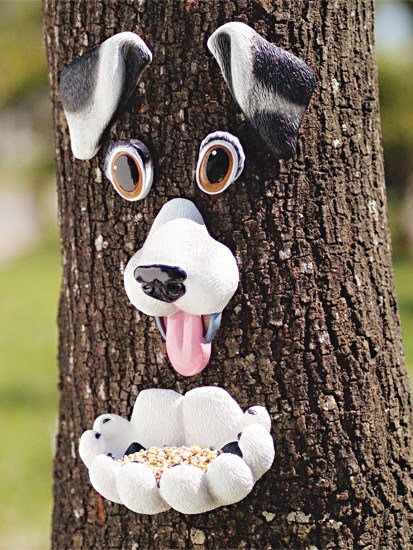 Creative Bird Feeders