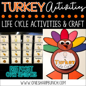 FREE turkey life cycle activities, including pocket chart sentences.  Perfect for Thanksgiving centers and turkey time!  Keep your kiddos engaged with these turkey activities, adorable turkey crafts and turkey centers!