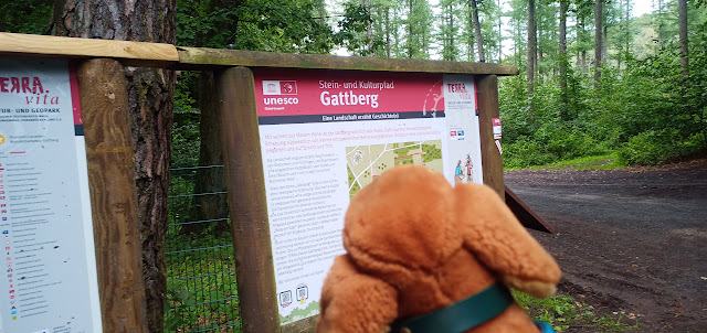 Stoffdackelkopf vor einer Erklärtafel zum Gattberg im Geopark Terra Vita