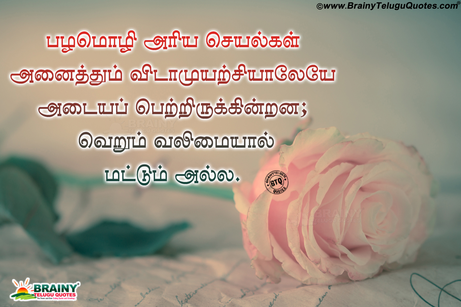  Tamil  Motivational Success  Quotes  Tamil  Quotes  in Tamil  