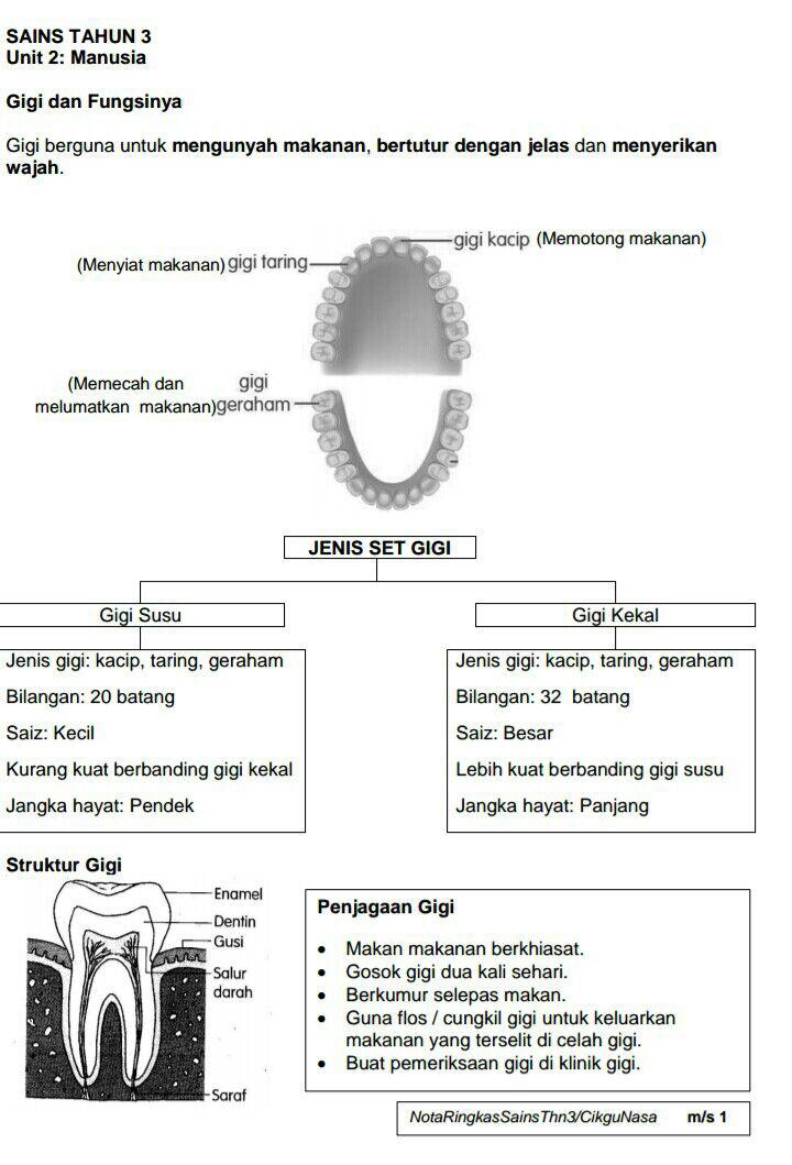 Nota Ringkas Sains Tahun 3 (KSSR)