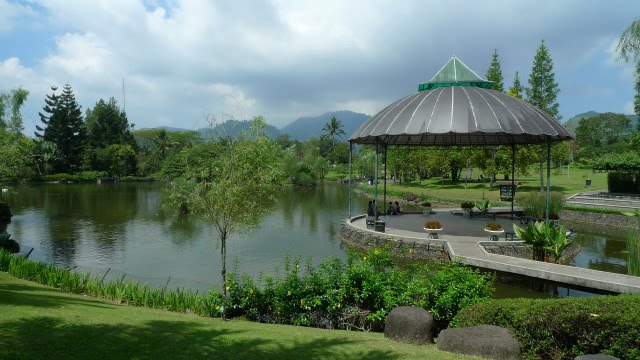 My Foto Taman  Bunga  Nusantara 