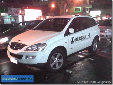 Ssangyong Actyon herbalife paint (1-1)