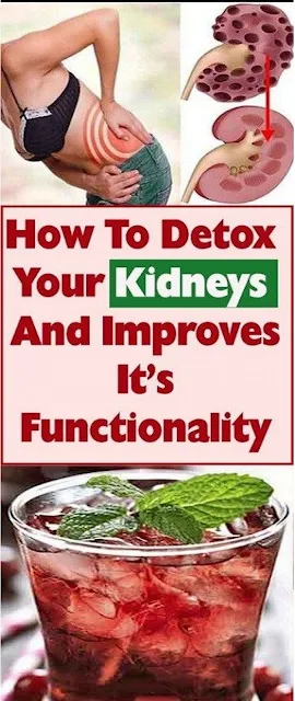 How To Detox Your Kidneys And Improve It’s Functionality