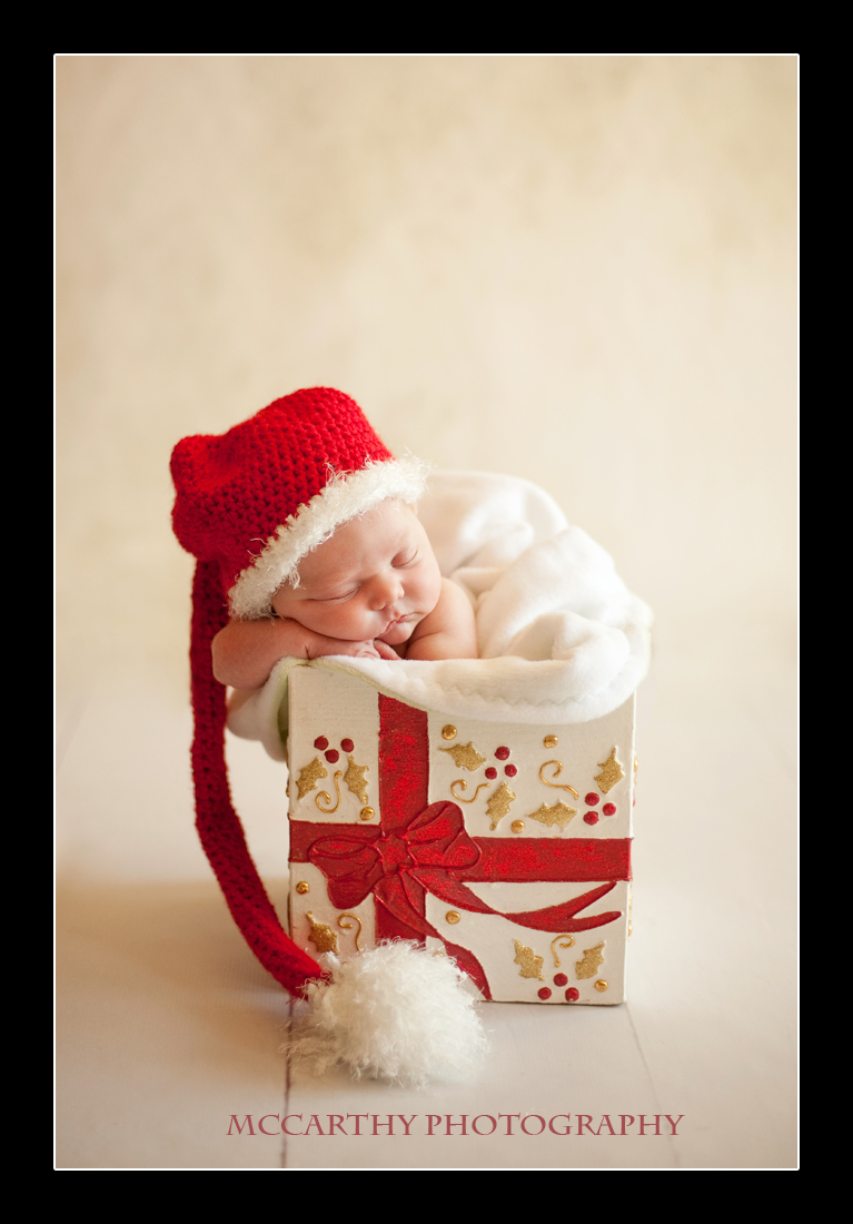 Baby Christmas Portrait Ideas Newborn photo ideas